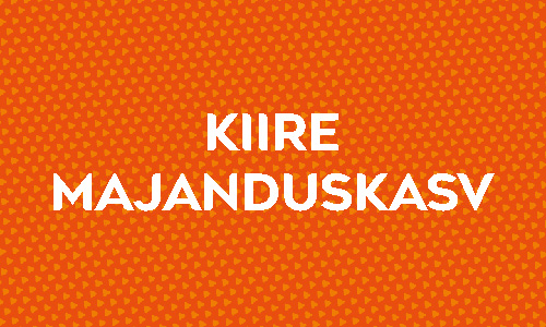 Kiire majanduskasv